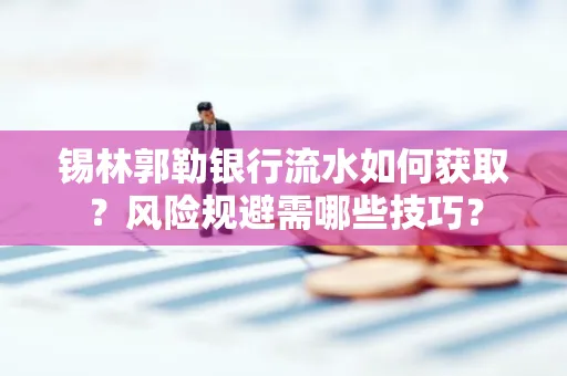 锡林郭勒银行流水如何获取?风险规避需哪些技巧?