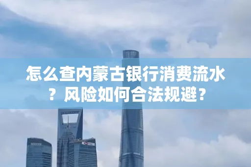 怎么查内蒙古银行消费流水?风险如何合法规避?