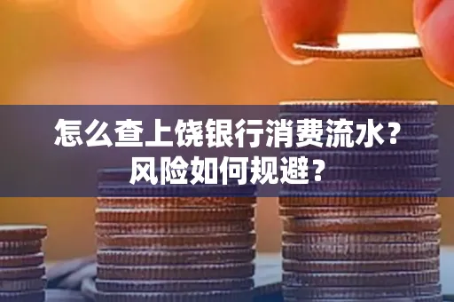 怎么查上饶银行消费流水?风险如何规避?
