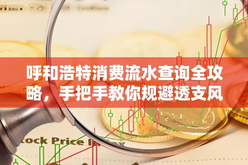 呼和浩特消费流水查询全攻略,手把手教你规避透支风险