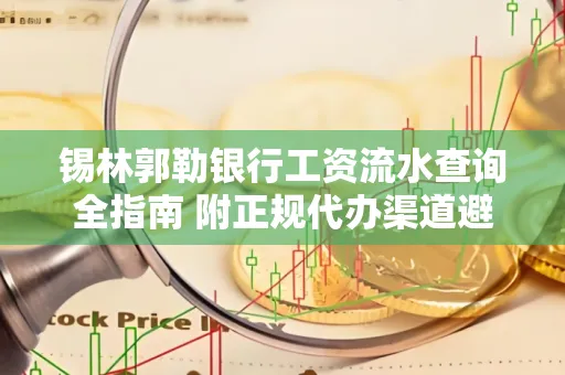 锡林郭勒银行工资流水查询全指南 附正规代办渠道避坑