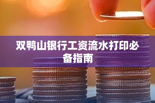 双鸭山银行工资流水打印必备指南