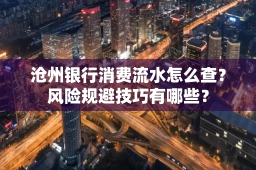 沧州银行消费流水怎么查?风险规避技巧有哪些?
