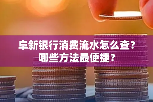 阜新银行消费流水怎么查?哪些方法最便捷?