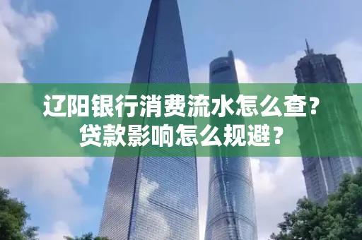 辽阳银行消费流水怎么查?贷款影响怎么规避?