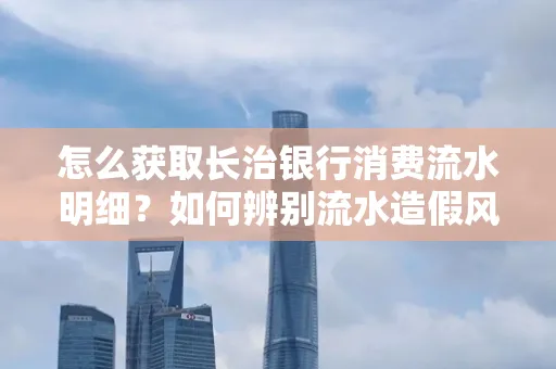 怎么获取长治银行消费流水明细?如何辨别流水造假风险?