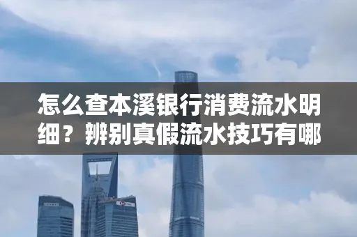 怎么查本溪银行消费流水明细?辨别真假流水技巧有哪些?