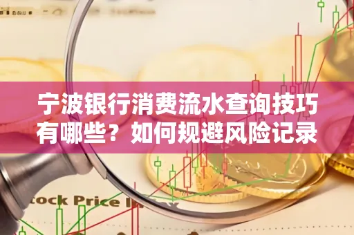 宁波银行消费流水查询技巧有哪些?如何规避风险记录?