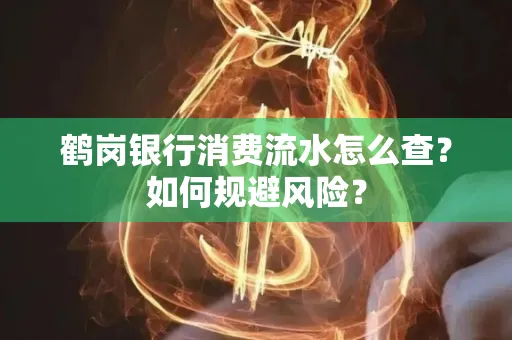 鹤岗银行消费流水怎么查?如何规避风险?