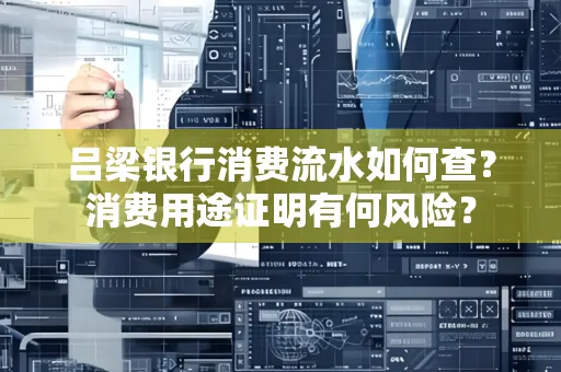吕梁银行消费流水如何查?消费用途证明有何风险?