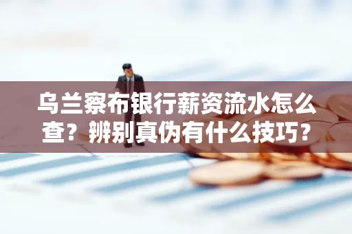 乌兰察布银行薪资流水怎么查?辨别真伪有什么技巧?