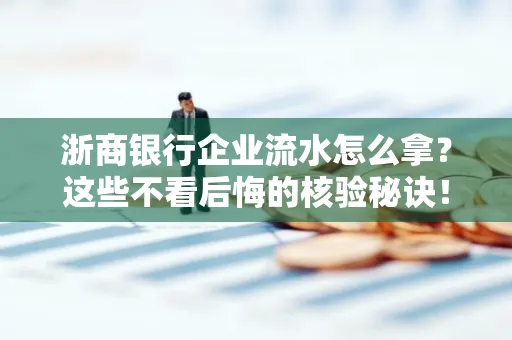 浙商银行企业流水怎么拿?这些不看后悔的核验秘诀!