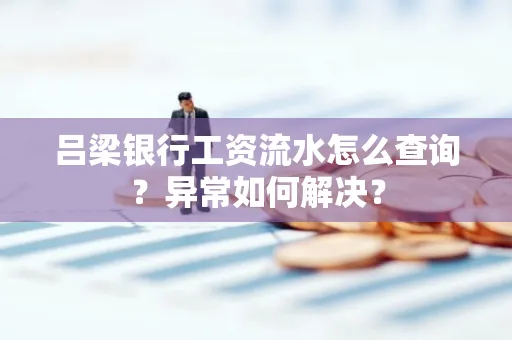 吕梁银行工资流水怎么查询?异常如何解决?