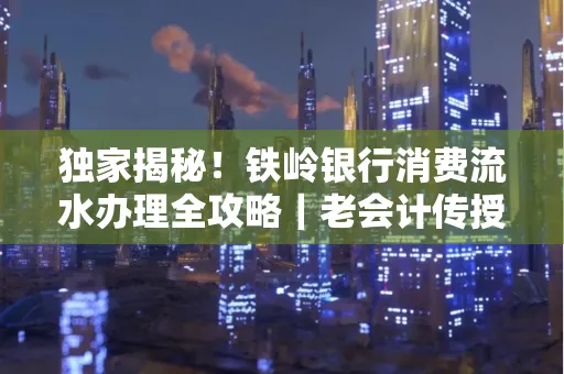 独家揭秘!铁岭银行消费流水办理全攻略|老会计传授防诈技巧