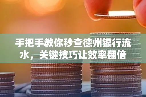 手把手教你秒查德州银行流水,关键技巧让效率翻倍