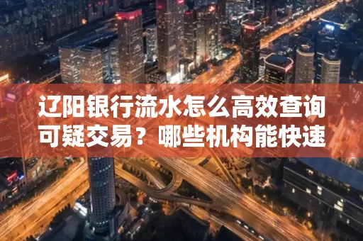 辽阳银行流水怎么高效查询可疑交易?哪些机构能快速分析账单风险?