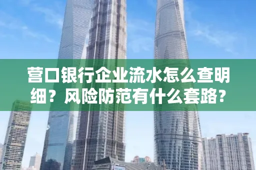营口银行企业流水怎么查明细？风险防范有什么套路？