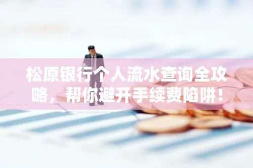 松原银行个人流水查询全攻略，帮你避开手续费陷阱！