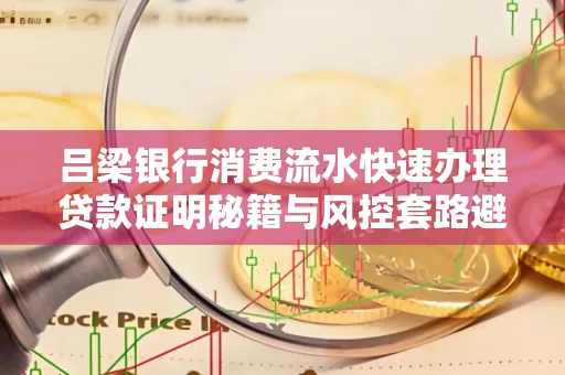 吕梁银行消费流水快速办理贷款证明秘籍与风控套路避坑指南