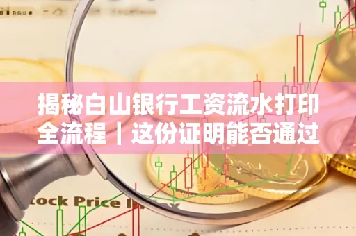揭秘白山银行工资流水打印全流程|这份证明能否通过审核?