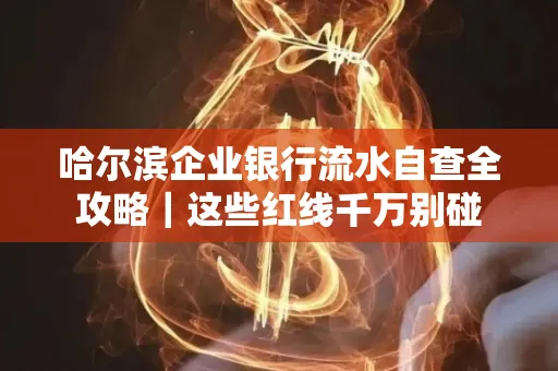 哈尔滨企业银行流水自查全攻略|这些红线千万别碰