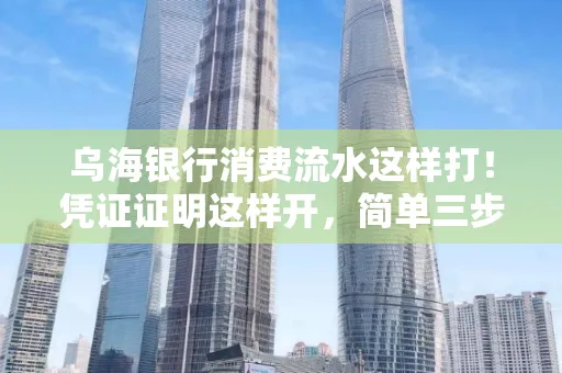 乌海银行消费流水这样打!凭证证明这样开,简单三步轻松搞定