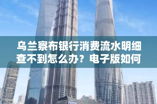 乌兰察布银行消费流水明细查不到怎么办?电子版如何获取攻克技巧?
