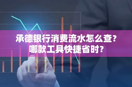 承德银行消费流水怎么查?哪款工具快捷省时?
