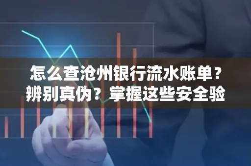 怎么查沧州银行流水账单?辨别真伪?掌握这些安全验证方法
