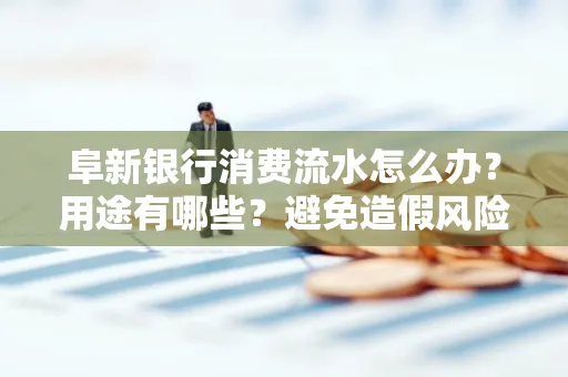 阜新银行消费流水怎么办?用途有哪些?避免造假风险方法