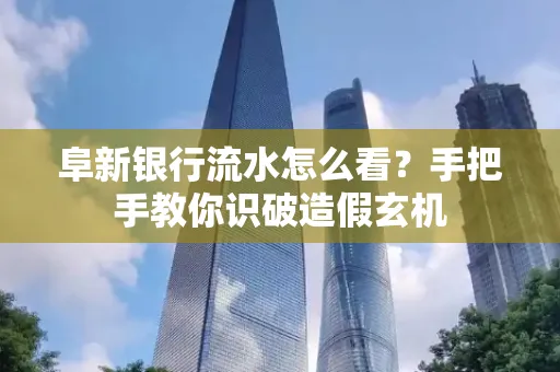 阜新银行流水怎么看?手把手教你识破造假玄机