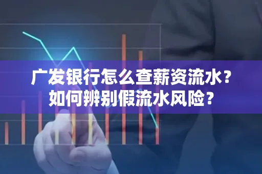 广发银行怎么查薪资流水?如何辨别假流水风险?