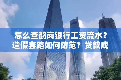 怎么查鹤岗银行工资流水?造假套路如何防范?贷款成功率翻倍攻略