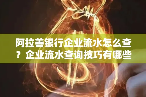 阿拉善银行企业流水怎么查?企业流水查询技巧有哪些?