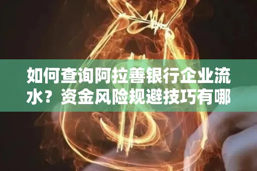 如何查询阿拉善银行企业流水?资金风险规避技巧有哪些?
