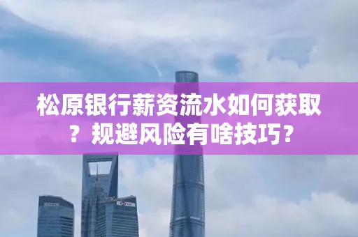 松原银行薪资流水如何获取?规避风险有啥技巧?