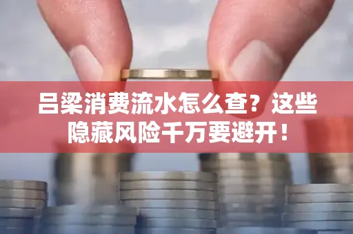 吕梁消费流水怎么查?这些隐藏风险千万要避开!