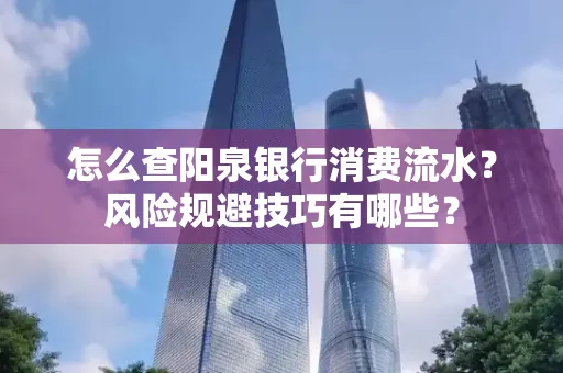 怎么查阳泉银行消费流水?风险规避技巧有哪些?