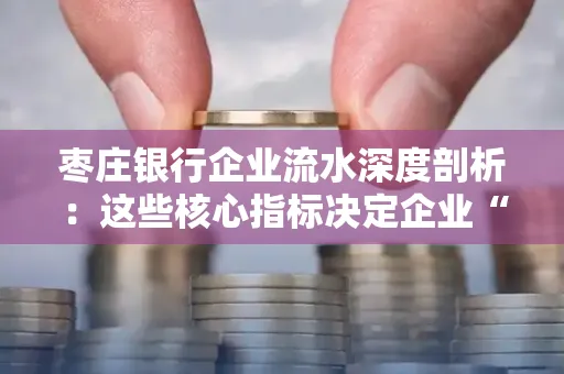 枣庄银行企业流水深度剖析:这些核心指标决定企业“钱袋子”健康度