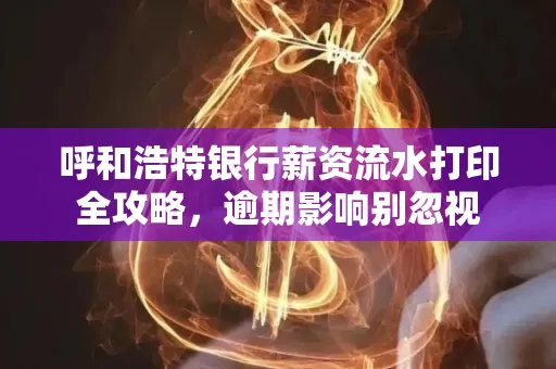 呼和浩特银行薪资流水打印全攻略,逾期影响别忽视