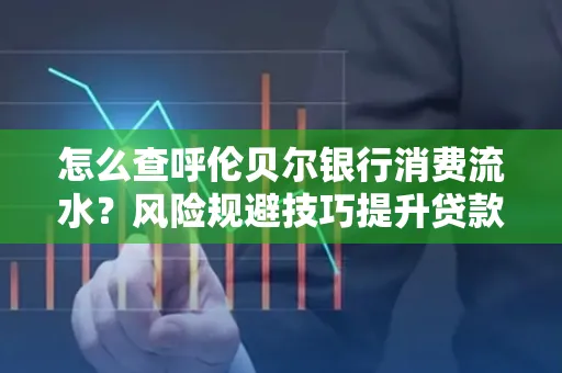 怎么查呼伦贝尔银行消费流水?风险规避技巧提升贷款率?